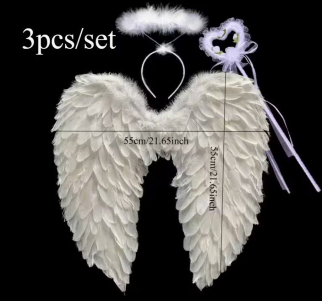 Angel wings fancy dress 3 piece set