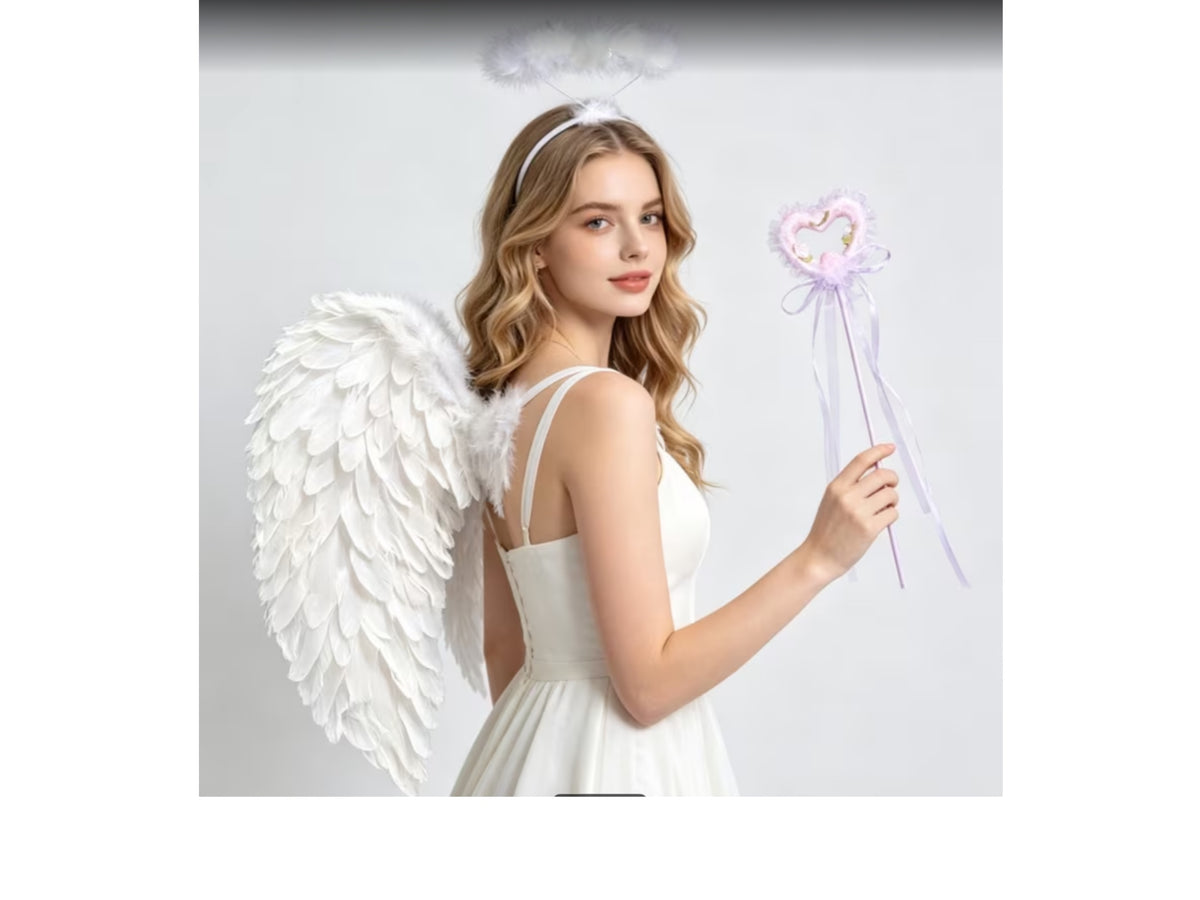 Angel wings fancy dress 3 piece set