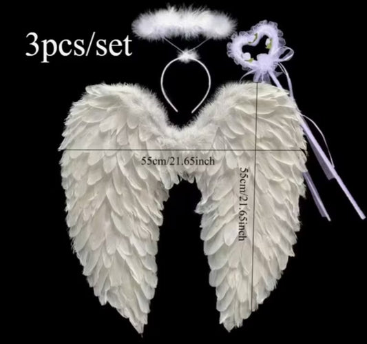 Angel wings fancy dress 3 piece set