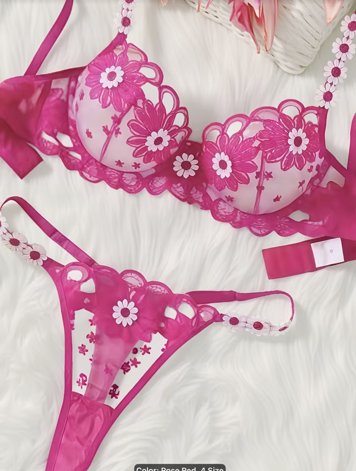 Hot Pink Daisy Embroidered Bra & Thong Set